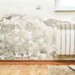 Maßnahmen für die Sanierung feuchter Wände