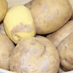 Kartoffeln als Bindemittel